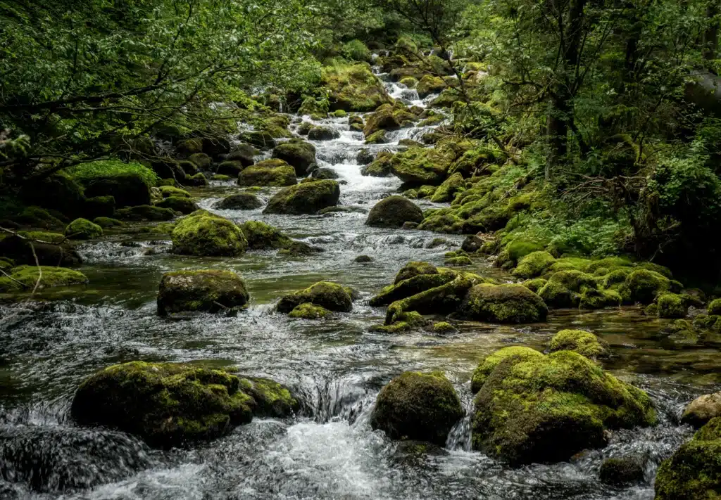 image of water stream